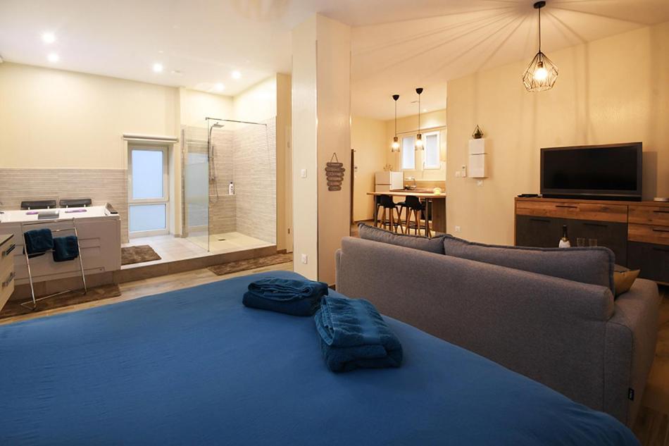 Appartement Loft Detente สตราสบูร์ก ภายนอก รูปภาพ